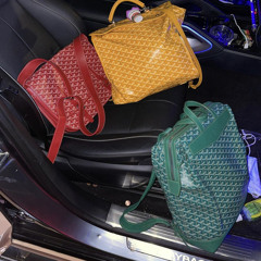 Goyard bag (feat che)