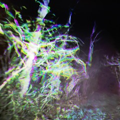 𝚎𝚕𝚎𝚟𝚎𝚗 𝚔𝚗𝚒𝚐𝚑𝚝𝚜