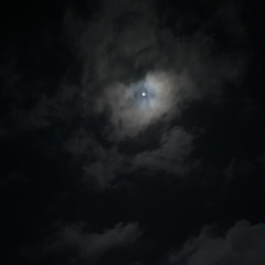 اسمعيها كل م ازعلك بالغلط ᥫᩣ