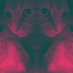 BAKI Live @PLF Warehouse Afters 06/24