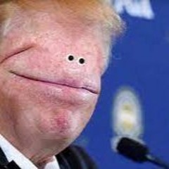 Bapahboowee