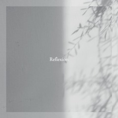 Reflexion