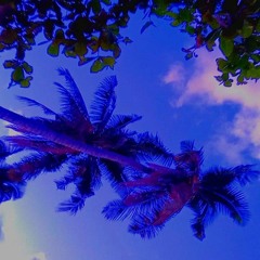 SOUTHXIDE X DJ MINI - YOLO - [REMIX 2021]🔥🎧