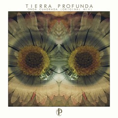 Onda Cuadrada (Original Mix) Tierra Profunda