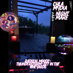 Radikal Moodz - Thunderstorm Set in the Vineyards of Stuttgart-Feuerbach