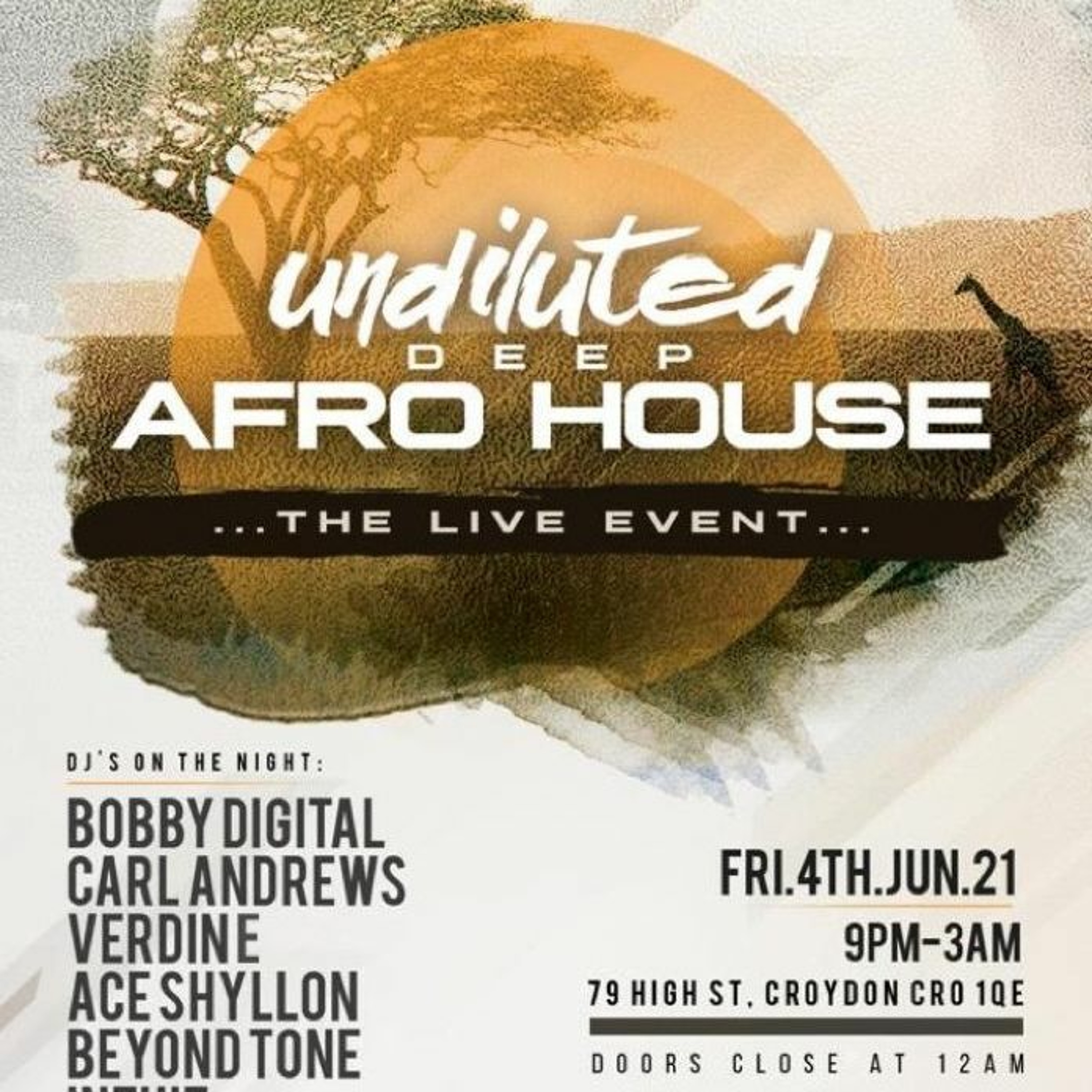 BOBBY DIGITAL DJ