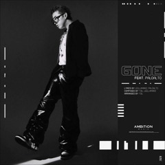 릴러말즈 (Leellamarz) - GONE (Feat. Paloalto) (Prod. TOIL)(Slowed & Reverb)