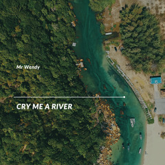 Cry Me A River (Singalong Mix - House)