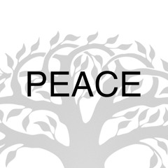 No Peace (feat. Cari Tibor)