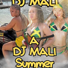 Bodega Baddie Summer Mix 2025 - DJ Mali |RNB, HIP HOP, AFROBEATS, SOCA, DANCEHALL|