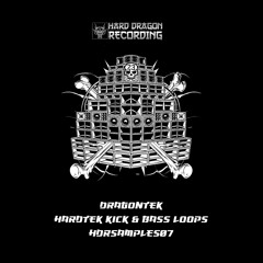 DragonTek Hardtek Kick & Bass Loops (Demo)