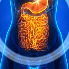 Enterocolitis Improvement | Reduce Inflammation and Pain & Eradicate Pathogens
