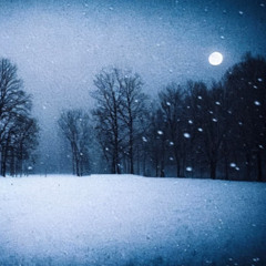 the snow will catch us once again - twinotter