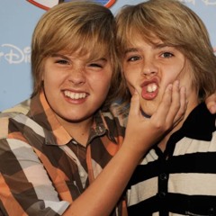 TWINS+