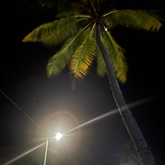 𝓌𝒶𝑜𝓃𝒶 𝓃𝒶𝓌𝒶𝓂𝒶🎶.