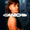 RAWCAST240 • Caniche