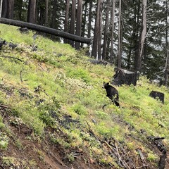 Run with me.