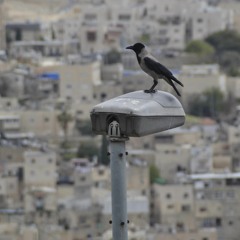 Look back or let it go.