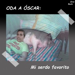 ODA A OSCAR: Mi serdo favorito Ft. Bochi