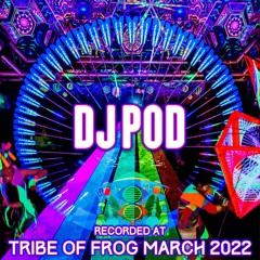 DJ Pod - Recorded at TRiBE of FRoG Frogz in Space 2022 [Room 4]