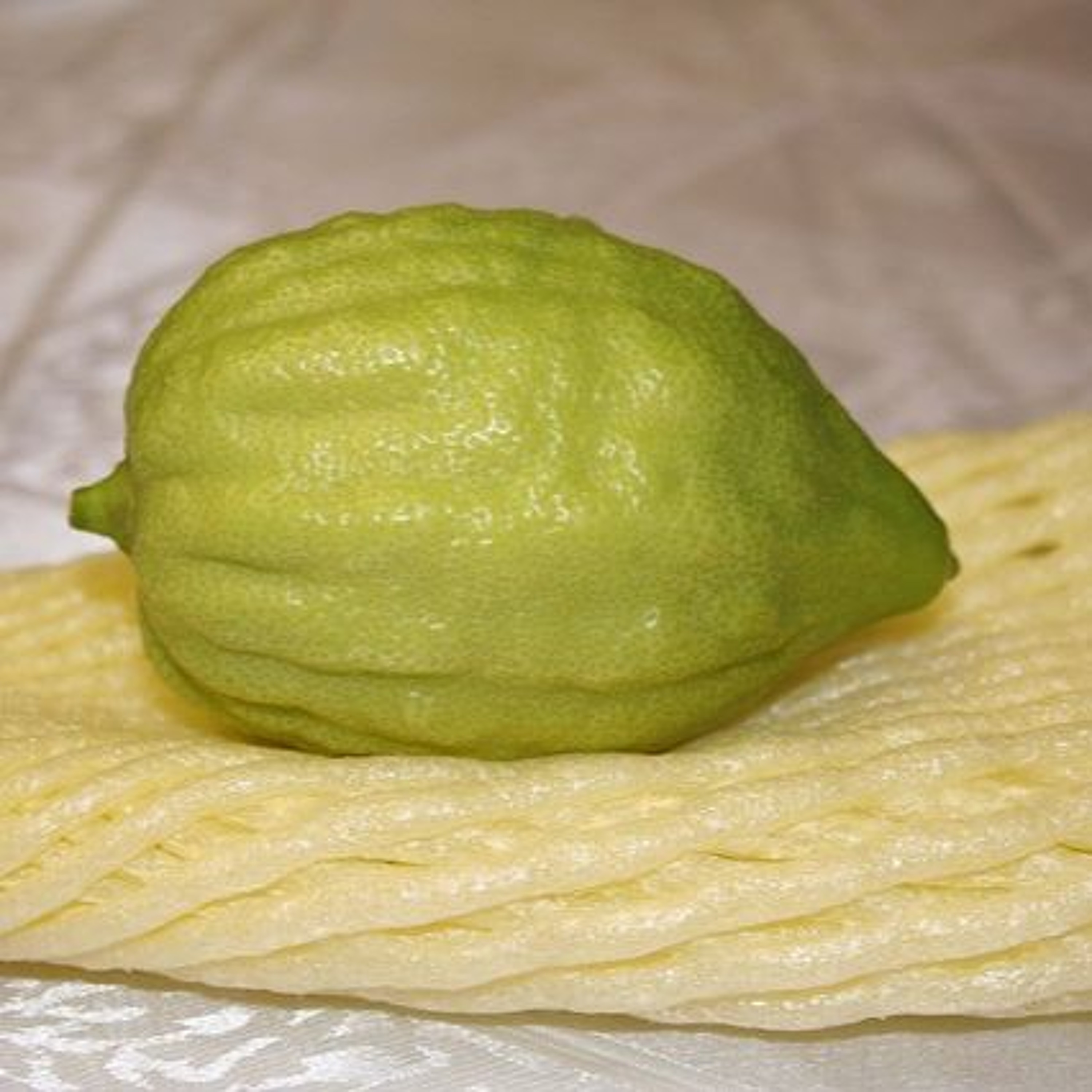 How Israeli Americans Can Make a Difference - Returning Home