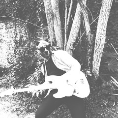 Fantastic Mr Fox  Demo Alt guitar