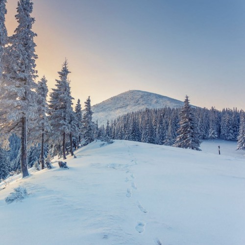 Wintertime - Thru It All (@okthxbb remix)