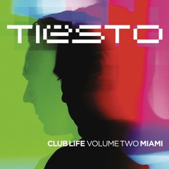 Somebody That I Used to Know (Tiësto Remix)