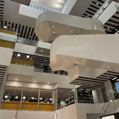 Library I