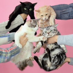 Japanese Shoegaze - 3