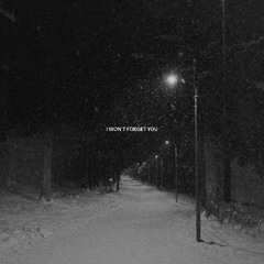 I WON'T FORGET YOU (p. aarya x kimpe)