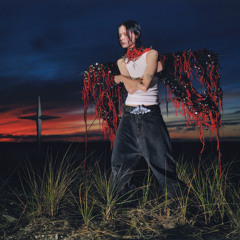 Did You Lose Your Heart - Sped Up Version