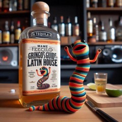 A Gringo's Guide to Latin House