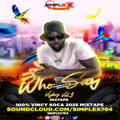 WHO SAY VYBEZ VOL 3 POWER & PACE EDITION - EXPLICIT