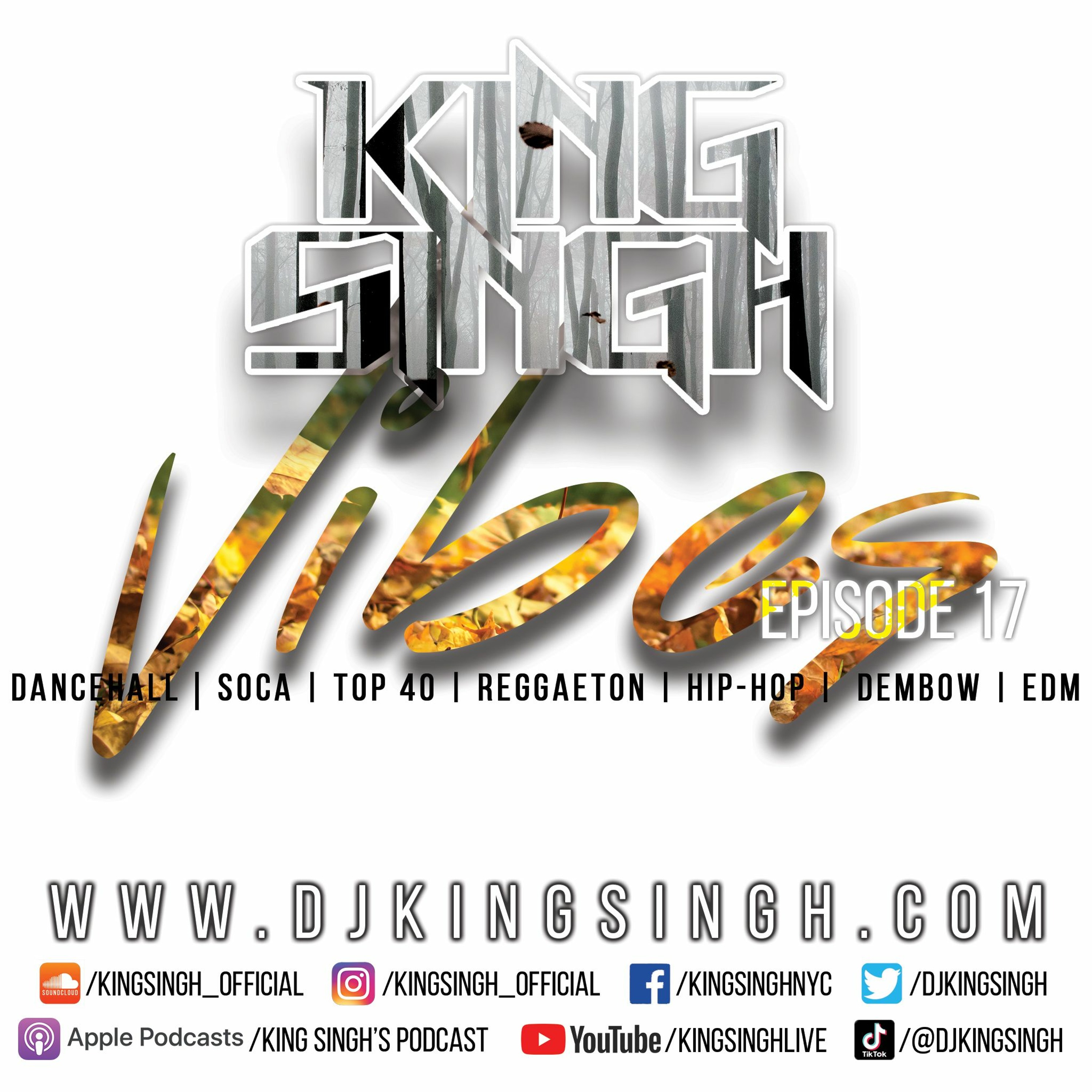 Vibes ep.17 | The King is in the Building. episode artwork