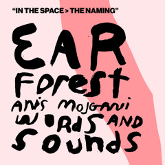 In the Space > The Naming Anis Mojgani Binaural Recording