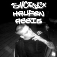 SHOREX - HAUFEN ASSIS