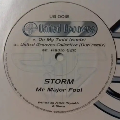 On My Todd (Remix) - Mr Major Fool