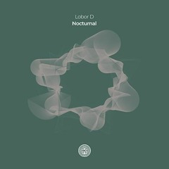 Lobor D - Take Me Now (Original Mix)