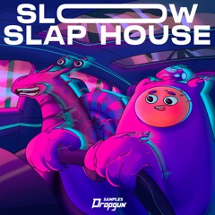 Slow Slap House