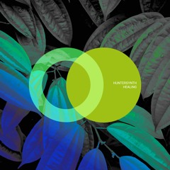 HunterSynth - Self Creation