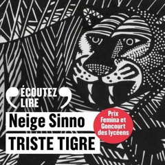 "Triste tigre", de Neige Sinno (P.O.L) lu par Neige Sinno -"écoutez lire" extrait"