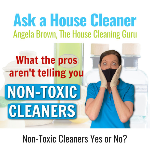 Non-Toxic Cleaning Products | What Professionals Know But Won't Tell You