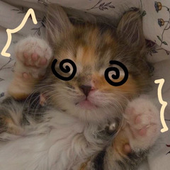 Pump it up kitty - slowed (go kitty go)