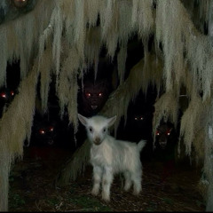 Close comfort Prod GAXILLIC