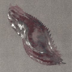 chiasme - materia (prod. by Steven Correia & Jorrdan)