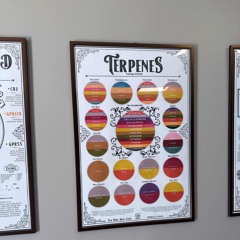 Gaslit epIc Episodes