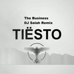 Tiësto - The Business (DJ Salah Remix)