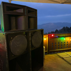 Sélection n°4 - Roots to Dub - 1h