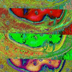 Apple Loop
